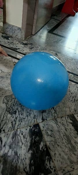 kids jumping ball 1