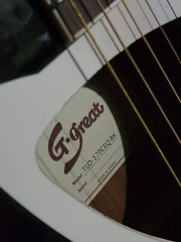 G-Great Imported Electro Acoustic Guitar 6