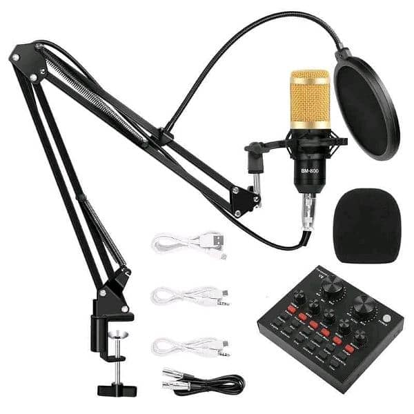 Bm800 Professional Condenser microphone | with sound card 2