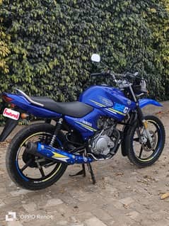 Yamaha YBR125G 2020 Special Edition Purplish Blue color for sale