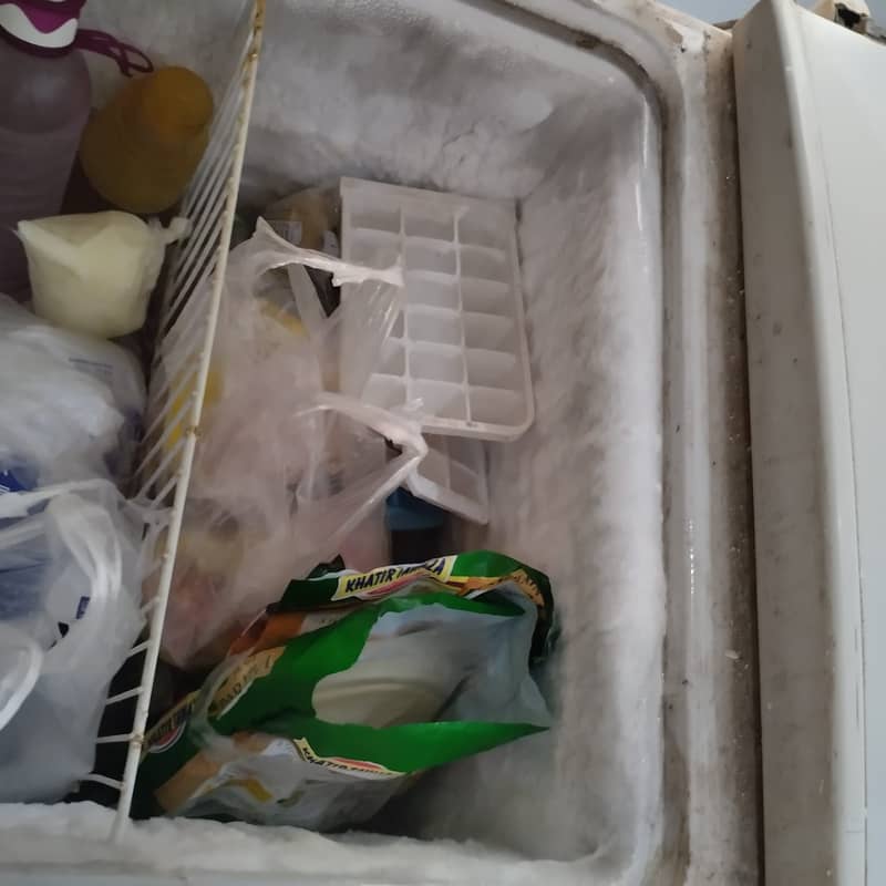 Dawlance Deep Freezer 2 Door 2