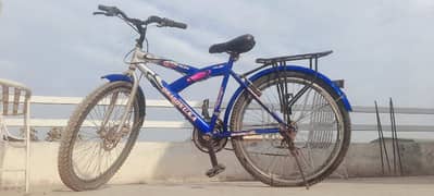 Bicycle in a Repairable Condition