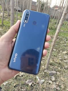 vivo y19