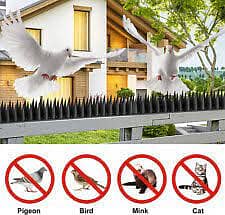 Bird Barrier STAINLESS STEEL Spikes In Pakistan