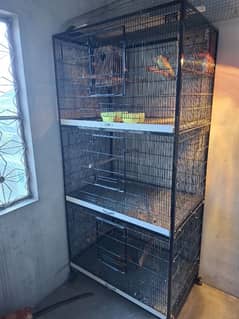 Two Parrots Cages