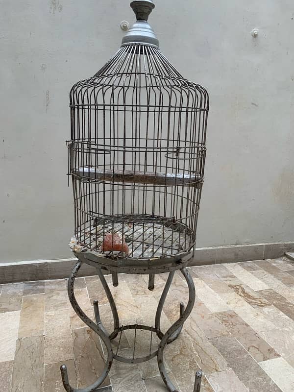 parrot cage 1