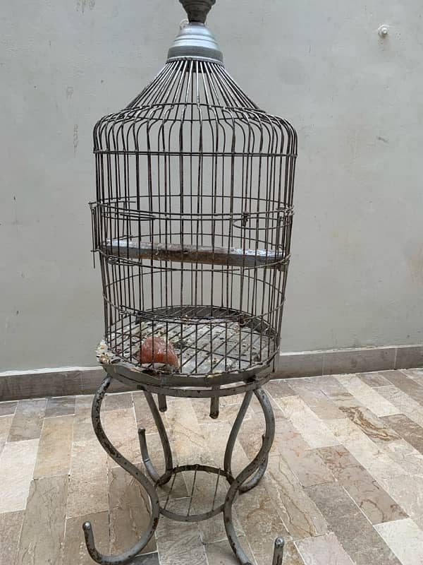 parrot cage 2