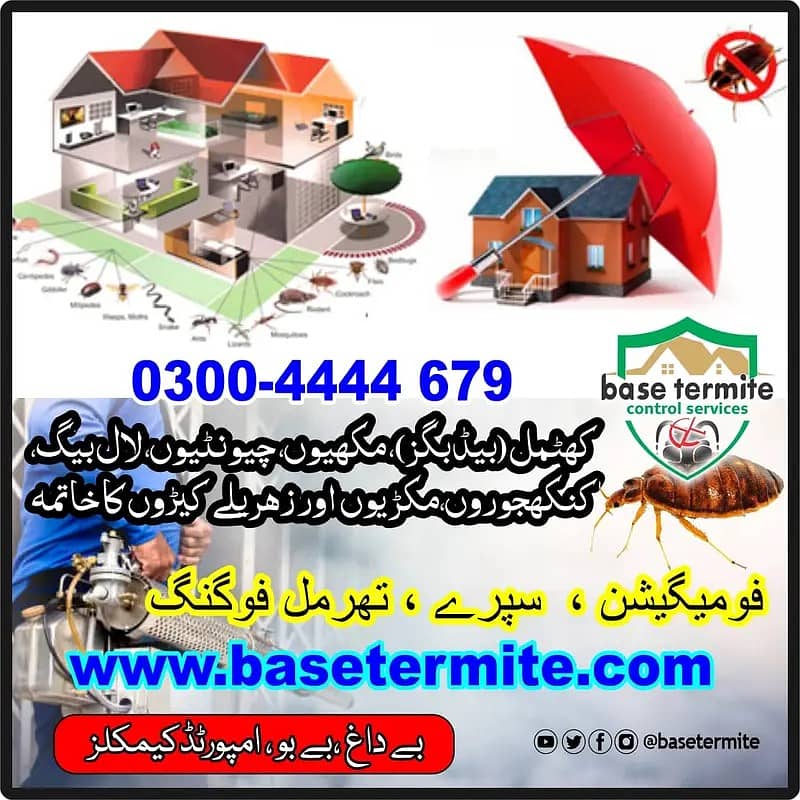 Termite Control/Dengue control /Fumigation services/Pest control serv 0