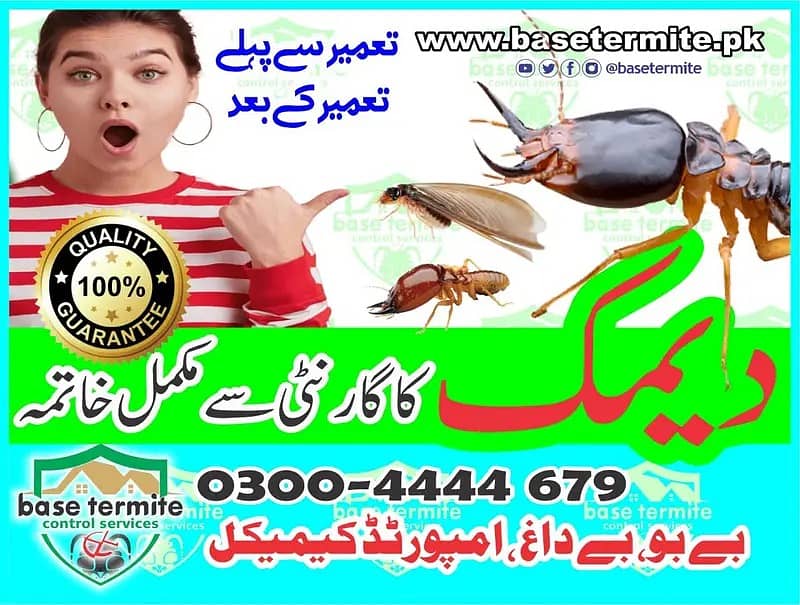 Termite control/ Deemak control/ Dengue spary/ Fumgation/ Pest contro 0