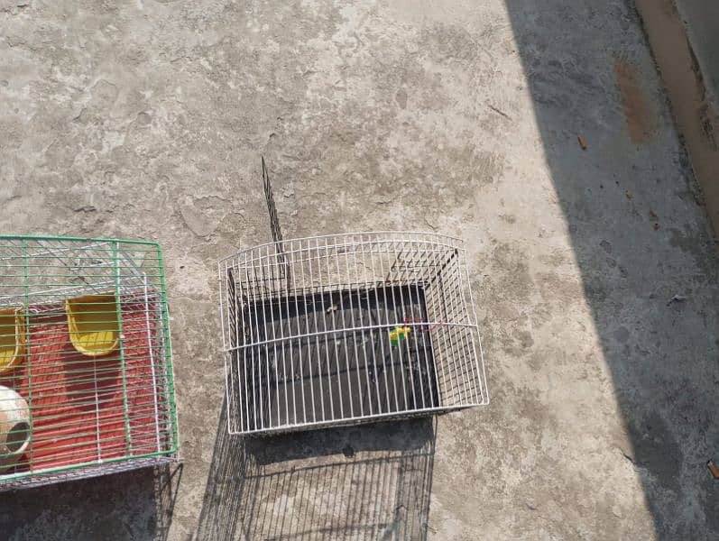 slitly used parrot bird cages 2