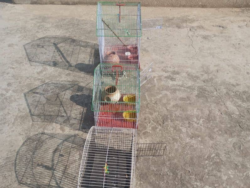 slitly used parrot bird cages 8