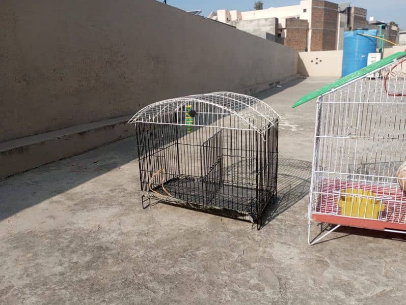 slitly used parrot bird cages 11