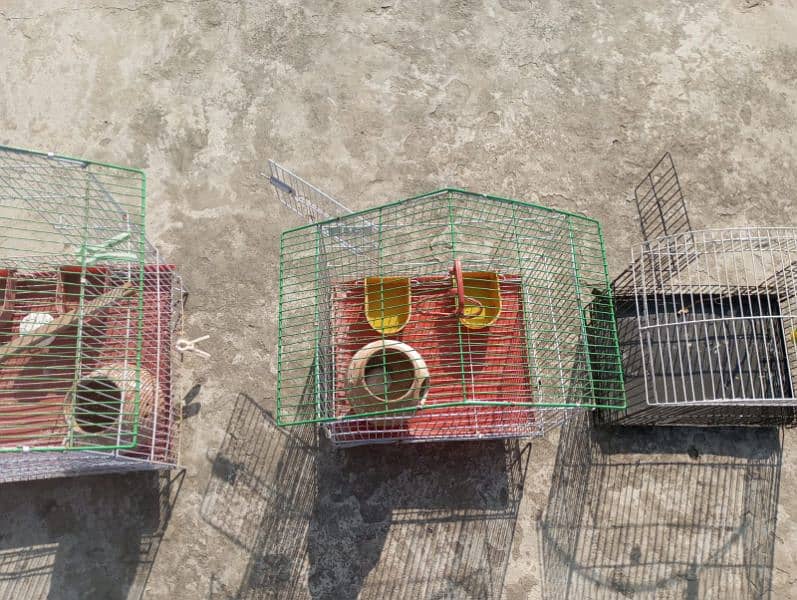 slitly used parrot bird cages 14