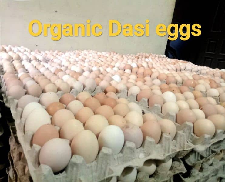 Dasi Eggs available 450 dazon 0