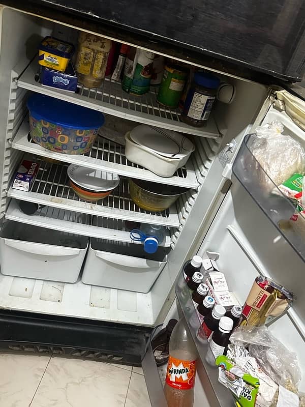 pel fridge 1