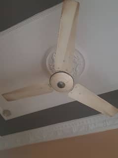 Ceiling fan