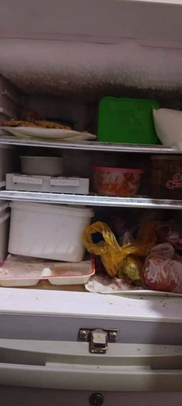 orient fridge 4