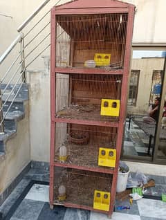 Birds Cages 2.5 x 2.5