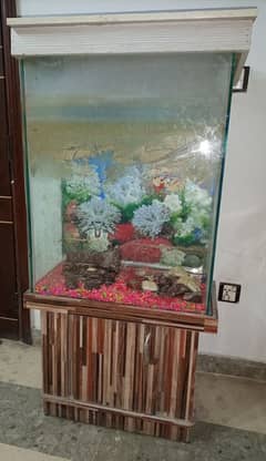 Fish Aquarium