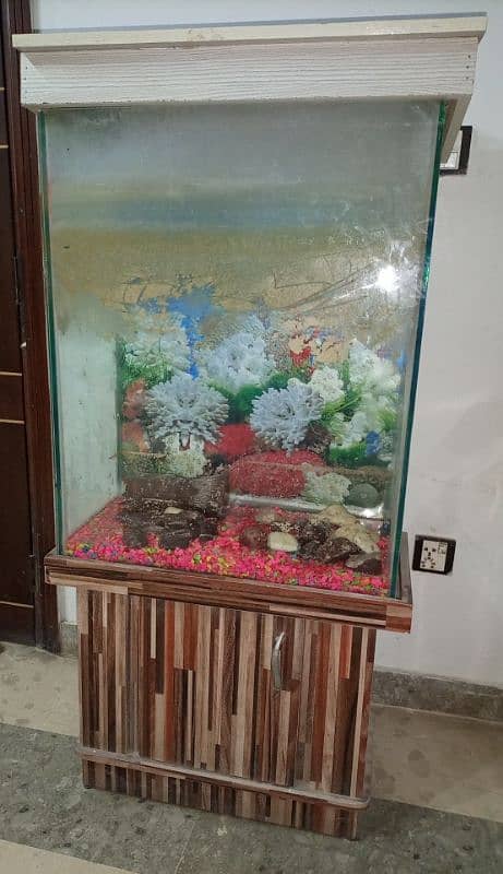 Fish Aquarium 0