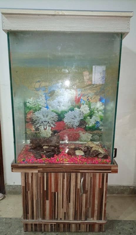 Fish Aquarium 1