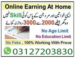 Online job available, Typing/Assignment/Data Entry/Ad posting etc