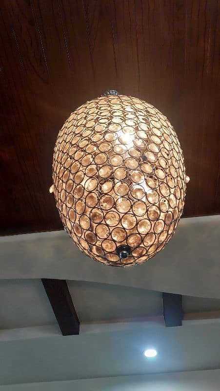 Oval shaped chandelier for sale 2