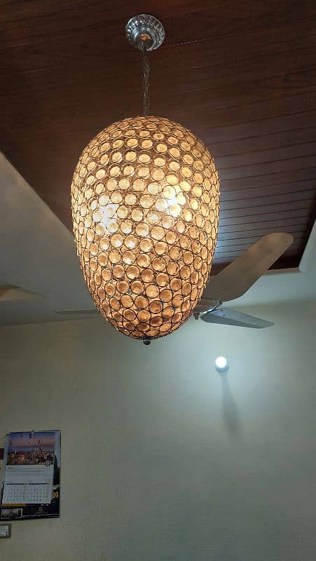 Oval shaped chandelier for sale 3