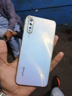 vivo