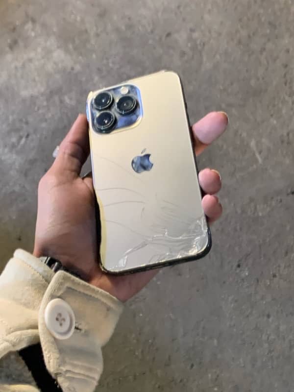 iphone 13 pro pta glich 6