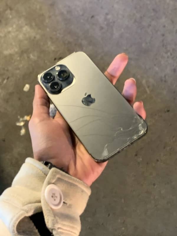 iphone 13 pro pta glich 7