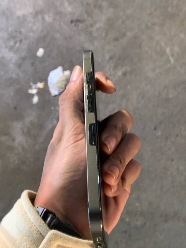 iphone 13 pro pta glich 10