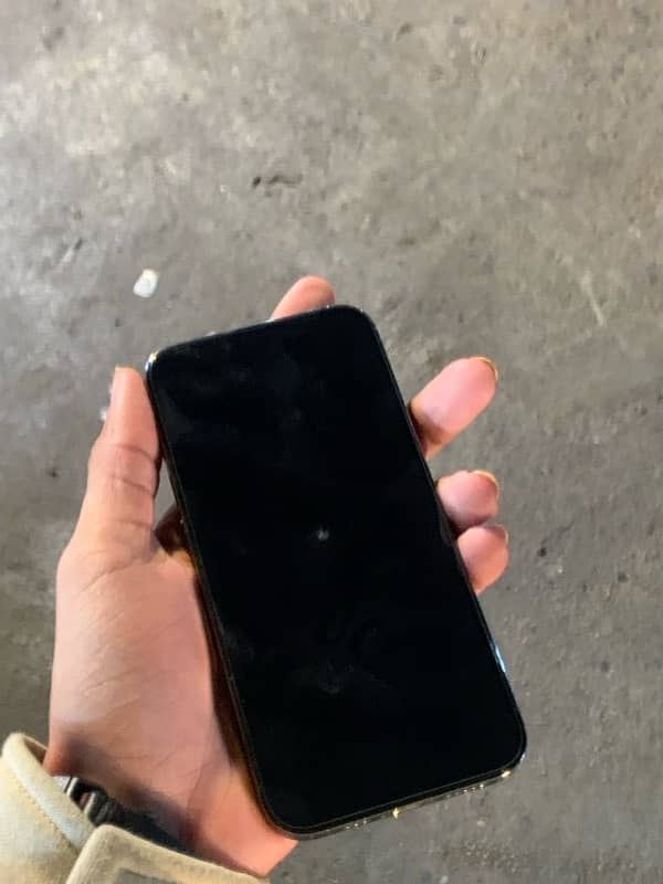 iphone 13 pro pta glich 11