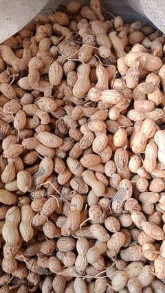 Desi organic Peanuts ( Mungphali)