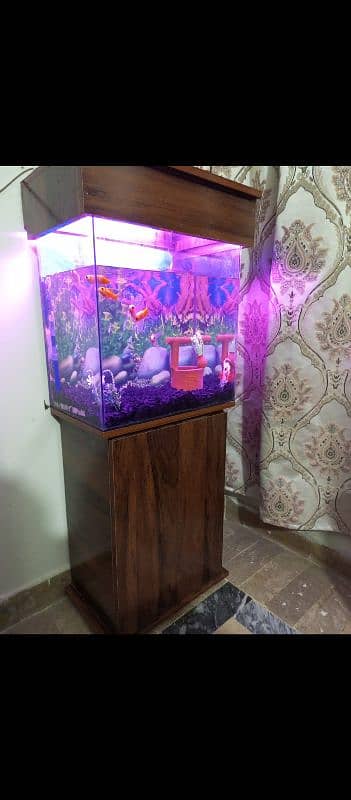 fish aquarium 1