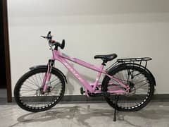 Girls Pink Bicycle For Sale