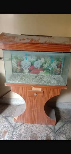 Fish aquarium