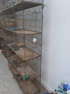 10 portion breeding cages for sale