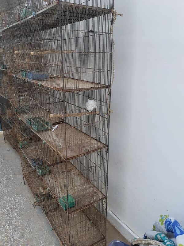 10 portion breeding cages for sale 0