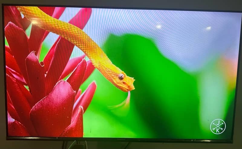 Hisense 43” A4 Series (A4G) FHD Smart LED TV 3