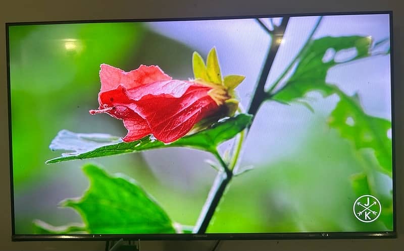 Hisense 43” A4 Series (A4G) FHD Smart LED TV 5