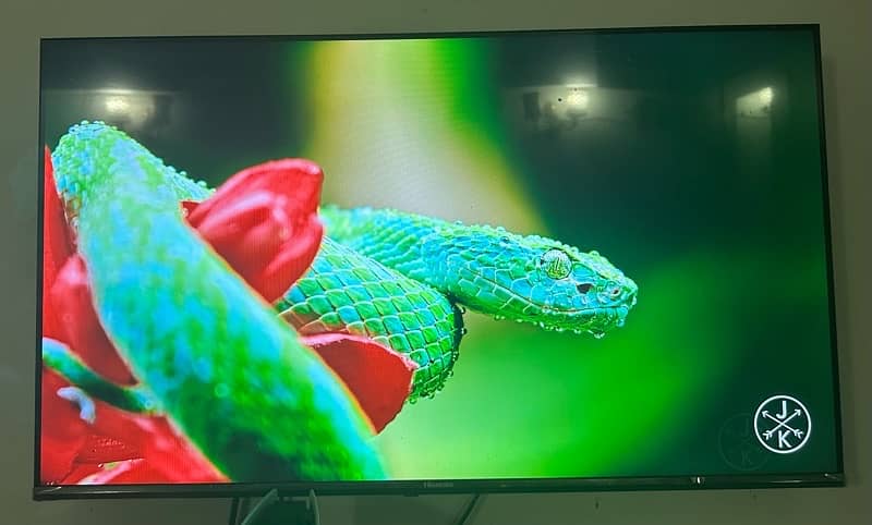 Hisense 43” A4 Series (A4G) FHD Smart LED TV 6