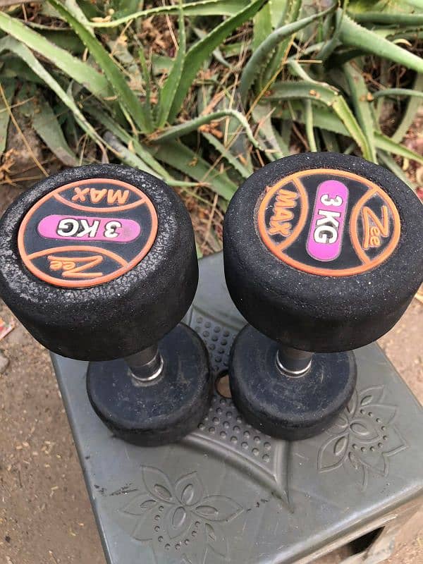 Dumbbells 3kg 1