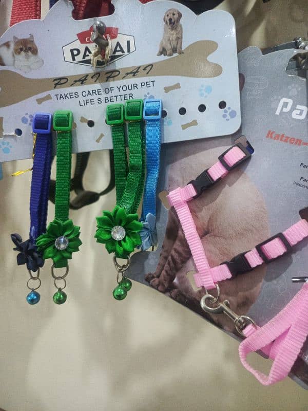 cat Accessories 1