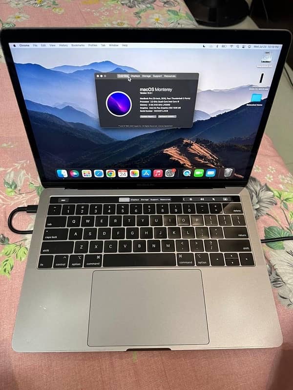 Macbook pro (13 inch 2018) 4