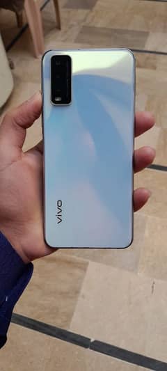 Vivo