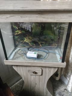 fish aquarium