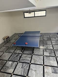 Table Tennis-MOVING SALE