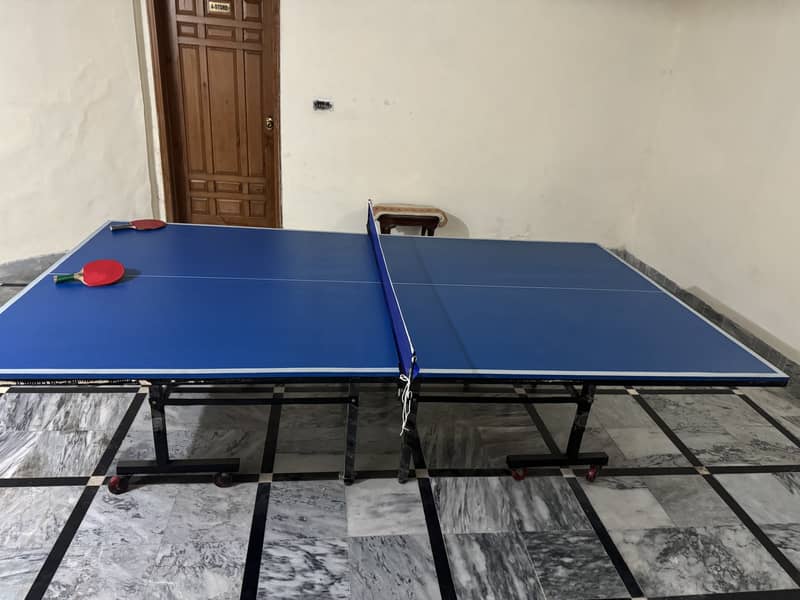 Table Tennis-MOVING SALE 1