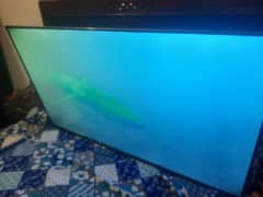 LCD 65 inch TCL